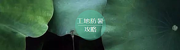 730F872D-D350-4aff-94EB-BD896F4ABD49.png
