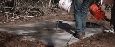 3.gif
