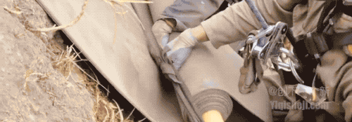 17.gif